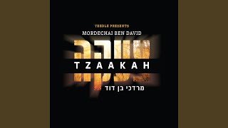 יעלה