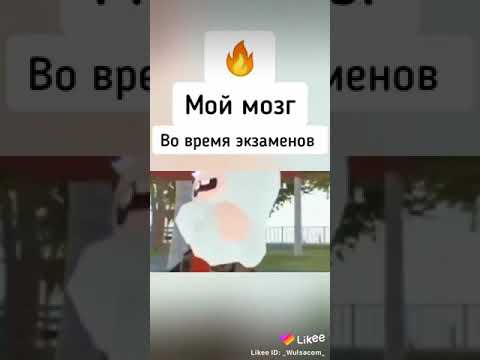 Мой мозг во время экзаменов.