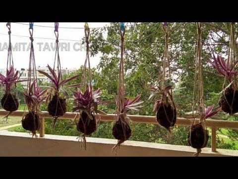 download lagu mp3 mp4 Potless, download lagu Potless gratis, unduh video klip Potless