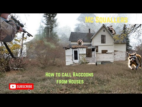 Raccoon Calling: Calling Coons from Abandoned houses #huntingseason #wildlife #outdoors #hunting