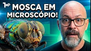 Os Bichos Mais Assustadores Vistos no Microscópio