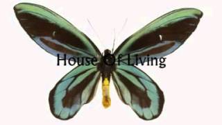 Heartsfield - House of Living
