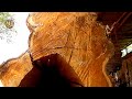 Power Of God The Beauty Of God S Creation Is Written On This Teak Wood Wood Cutting Machine