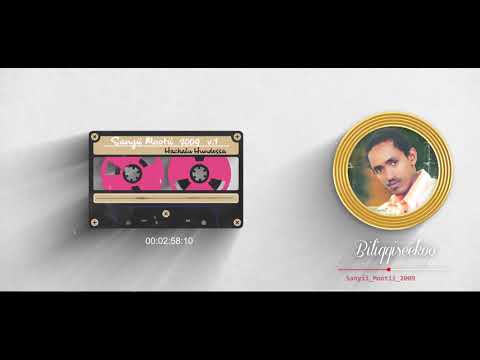 Hachalu Hundessa - Biliqqiseekoo