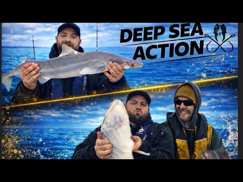 SMALL Boat, BIG Fish! | Offshore Deep Sea Action – The Solent Warrior 