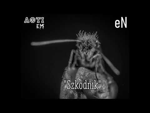 Arti Em & eN - Szkodnik