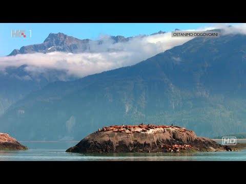 Ljeto na Aljasci, dokumentarni film HD