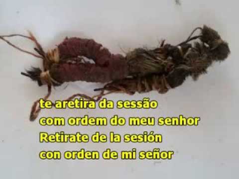 SANTODAIME Point received by Linda from Céu do Mapiá - Umbandaime Points - Santo daime Hymn