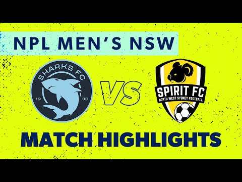 NPL Men's NSW Round 23 Highlights – Sutherland Sharks v NWS Spirit FC