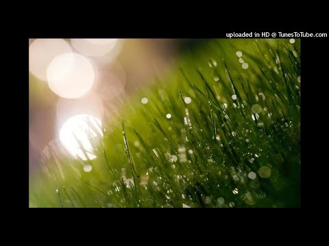 Vibrasphere & Ticon - Dewdrops (Dreaml4nd Remix)