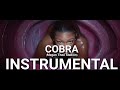 Megan Thee Stallion - Cobra (Official Instrumental)