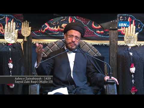 13TH Majlis Sayyid Zaki Baqri - Safar 1439 DSM IMAMBARGHA 2017-(ASHRE ZAINABIYA)