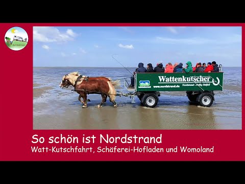 So schön ist Nordstrand - Wattkutschfahrt, Schäferei-Hofladen und Womoland
