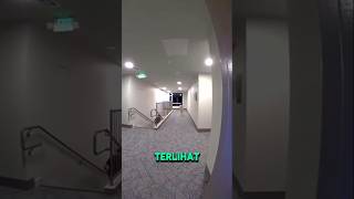 Download lagu Main Ding Dong Ditch Malem²‼️😲 mp3 Download lagu Main Ding Dong Ditch Malem²‼️😲 mp3