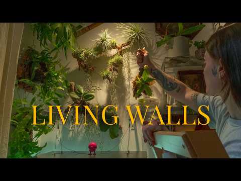 Bringing Nature Up the Walls | Our Cozy Plant Corner