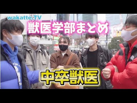 獣医学部まとめ【wakatte.TV切り抜き】