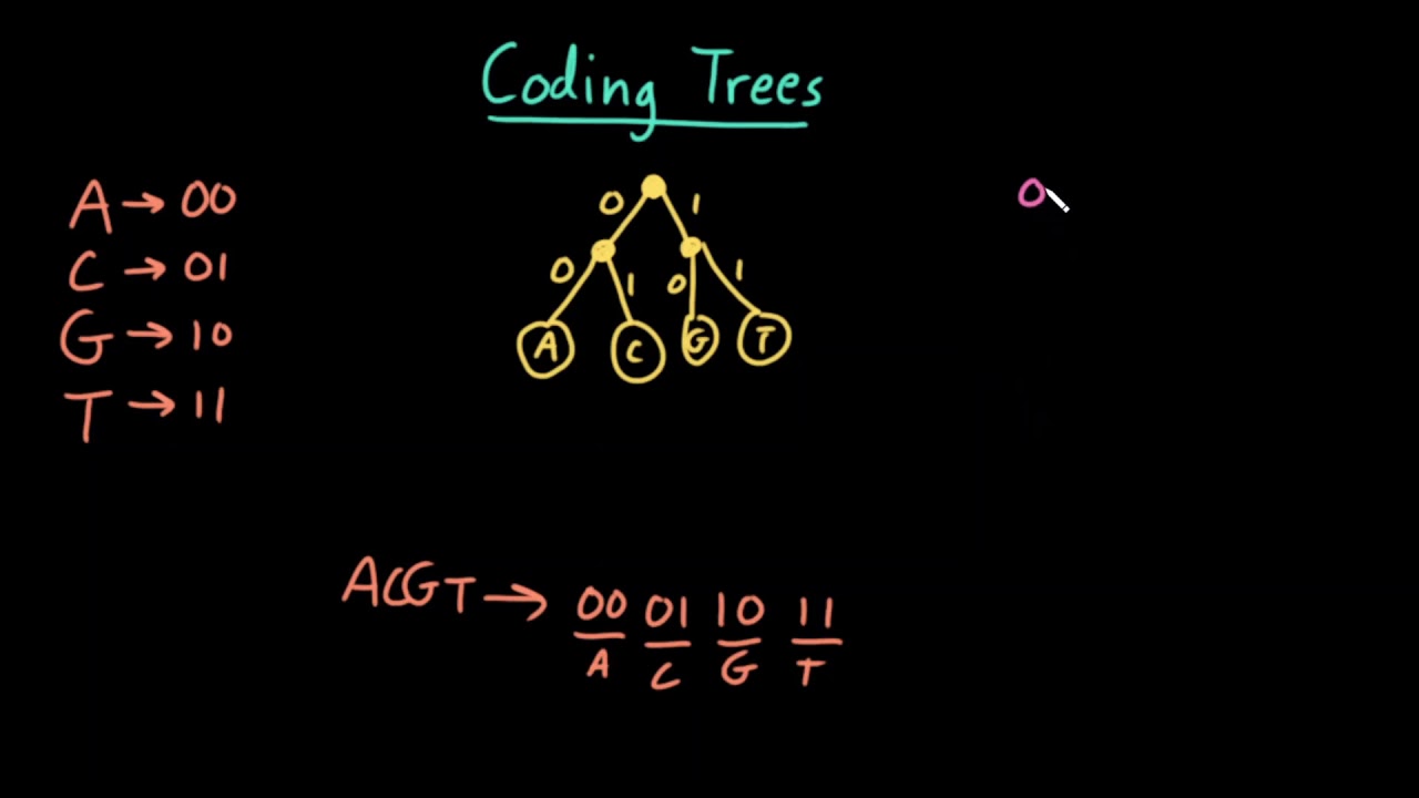 Advanced Data Structures: Coding Trees