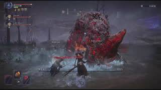 通常リブラ(260418_07_ティビアの呼び舟-神肌の使徒_通常)ELDEN RING NIGHTREIGN_20260418183718