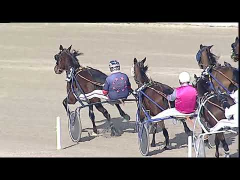 Napoli Trotto 17/02/2023 - 3ª corsa