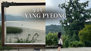 8월의 양평, 서울 근교 당일치기 여행🚗 | 두물머리, 용문산 계곡, 용문사 은행나무까지 알차게 보고옴💚