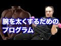 【筋トレ】腕を太くしたいという方に効果的なプログラム