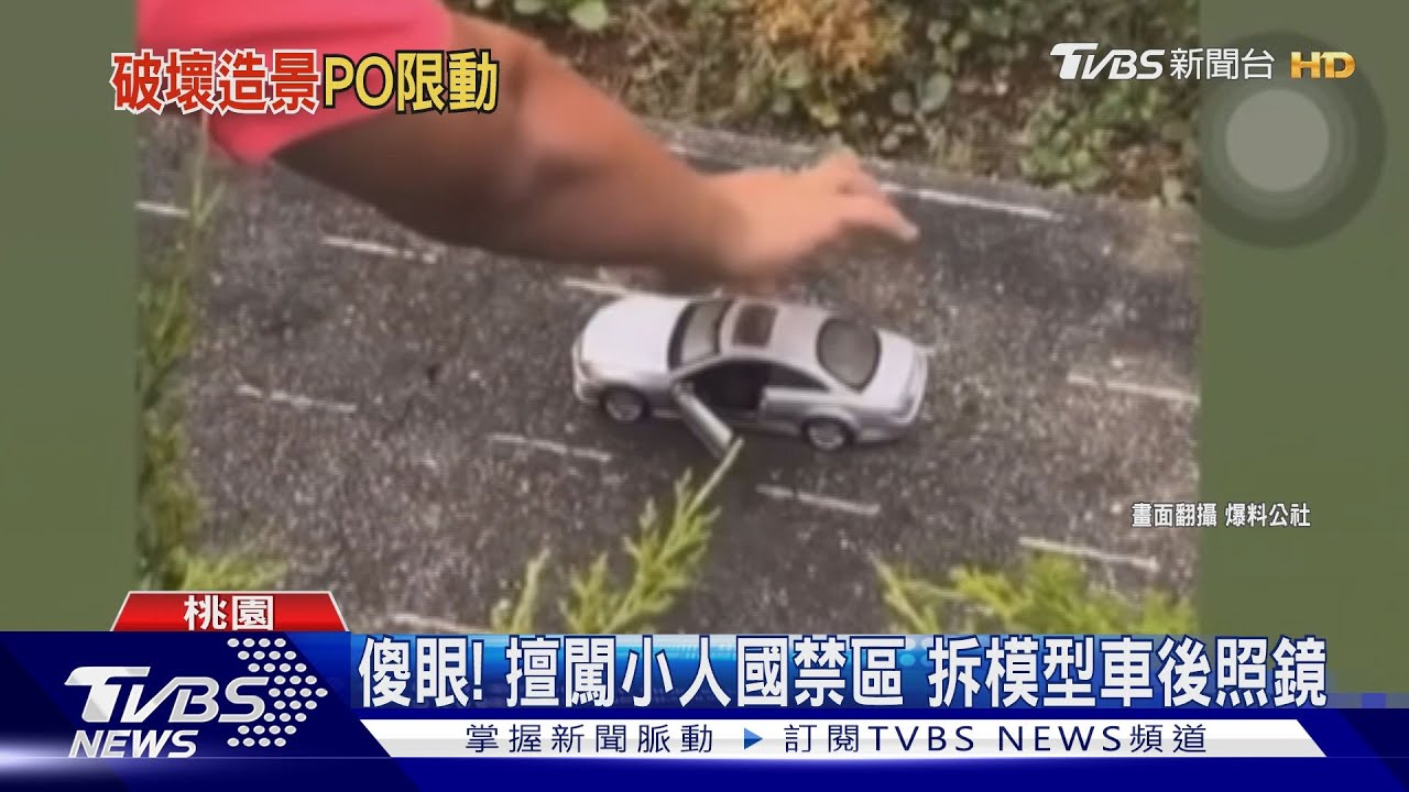 傻眼!擅闖小人國禁區 拆模型車後照鏡