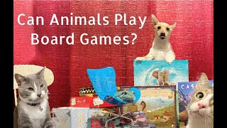 S1E1 Can Animals Play Board Games?