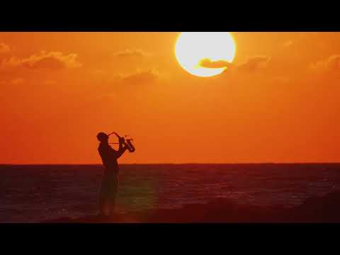 syntheticsax and 4 more