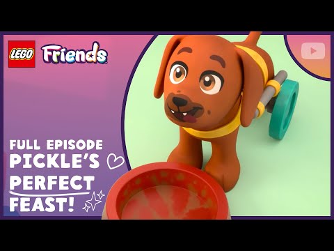 Pickle’s 🐶 Perfect Dog Feast 😋 | Season 3 Episode 4 | Full Episode| LEGO Friends: The Next Chapter