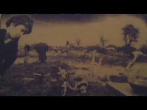 Gavin Friday on Fanning Sessions 1980.