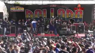 Download lagu Cincin kawin Ani arlita ft brodin new pallapa 2017 mp3