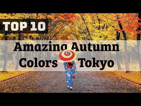 東京的最佳秋色景點 - 6 分鐘排名！│ 2023 指南 (Tokyo's Best Autumn Color Spots - Ranked in 6 Minutes! │ 2023 Guide)