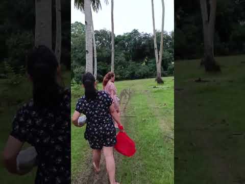 SIPAT ng cow samin 😅 #cow #nature #naturelovers #naturephotography #youtube #youtuber #viral