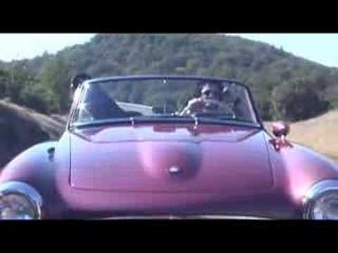 Shine - The Skies of America