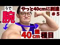 【筋トレ】#5 やっと40cm超えました。40cm超えで生活し辛さがでる?