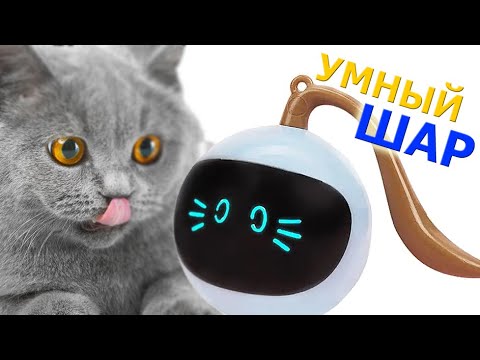 Игрушка для кошек и собак, мячик робот движущийся с LED подсветкой Pet Ball D48 заряжаемый USB - фото 1 - id-p1833569865