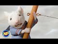 Stuart Little Boat Race