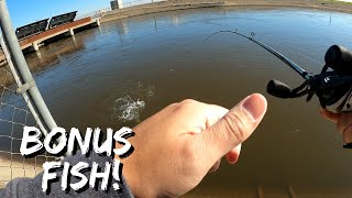 Got The Skunk Off My New Reel | Delta Mendota Canal | CA Aqueduct Fishing | Iu Mien Fishing
