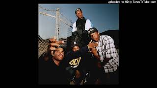 N.W.A She Swallowed It OG