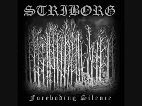 Striborg - A lonely walk in a desolate cold pine forest