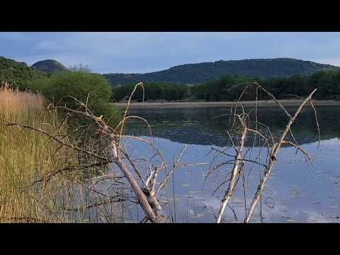 download lagu mp3 mp4 Merles Et Grives Paysages Sonores, download mp3 Merles Et Grives Paysages Sonores free downloadn, video klip Merles Et Grives Paysages Sonores