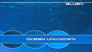 Bluey - Something Happened