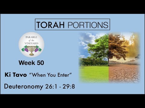 Torah Portions - Week 50 - Ki Tavo | כִּי-תָבוֹא l “When You Enter” - W/ Parable of the Vineyard