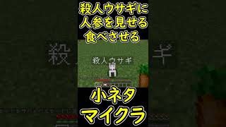 殺人ウサギに人参を見せると？食べさせると？　小ネタ　【マイクラ/マインクラフト】 #shorts
