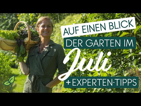 🌻 Was im Juli im Garten zu tun ist! ▶️ Exklusive Tipps von Naturgärtnerin Angelika Ertl