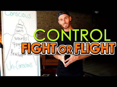 How to Control Your Fight or Flight Responses