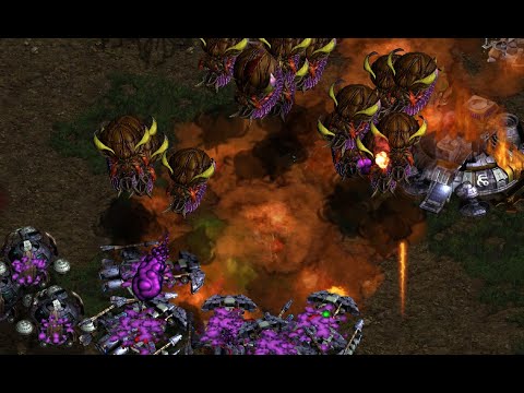 StarCraft Live Stream! Falcon casts PRO and YOUR Brood War replays! FME/UMS/FFA