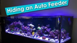 Hiding an Aquarium Auto Feeder on a rimless saltwater reef tank