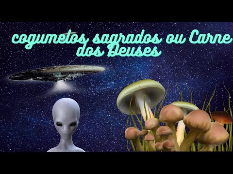 Cogumelos Mágicos, (Psilocybe Cubensis)