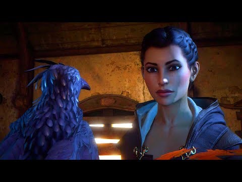 Dreamfall Chapters Book 3: Chapter 3 - Avian Society Chauvinist Reunion